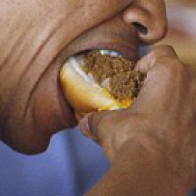 Obama spiser 4