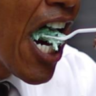 Obama spiser 11